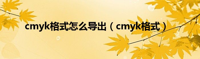 cmyk格式怎么导出（cmyk格式）