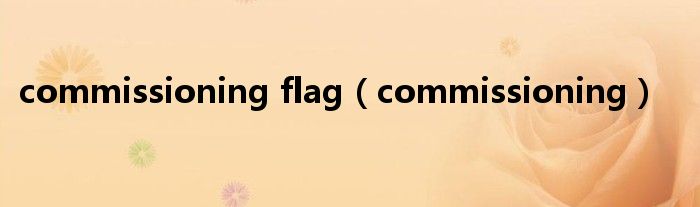 commissioning flag（commissioning）