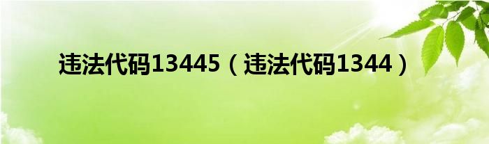 违法代码13445（违法代码1344）