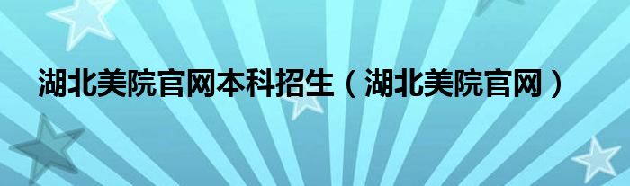 湖北美院官网本科招生（湖北美院官网）