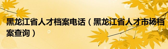 黑龙江省人才档案电话（黑龙江省人才市场档案查询）