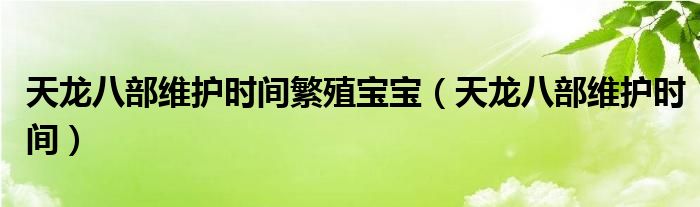 天龙八部维护时间繁殖宝宝（天龙八部维护时间）