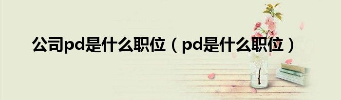 公司pd是什么职位（pd是什么职位）