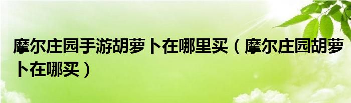 摩尔庄园手游胡萝卜在哪里买（摩尔庄园胡萝卜在哪买）