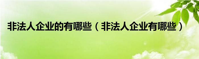 非法人企业的有哪些（非法人企业有哪些）