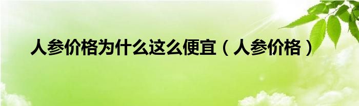 人参价格为什么这么便宜（人参价格）