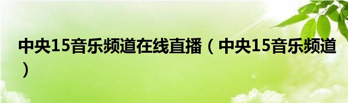 中央15音乐频道在线直播（中央15音乐频道）