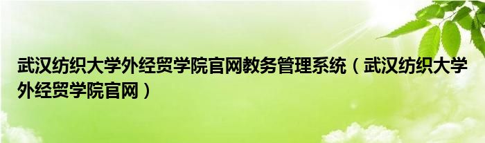 武汉纺织大学外经贸学院官网教务管理系统（武汉纺织大学外经贸学院官网）