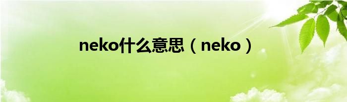 neko什么意思（neko）