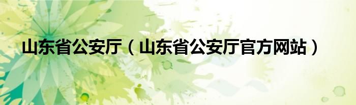 山东省公安厅（山东省公安厅官方网站）