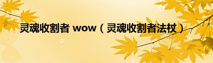 灵魂收割者 wow（灵魂收割者法杖）