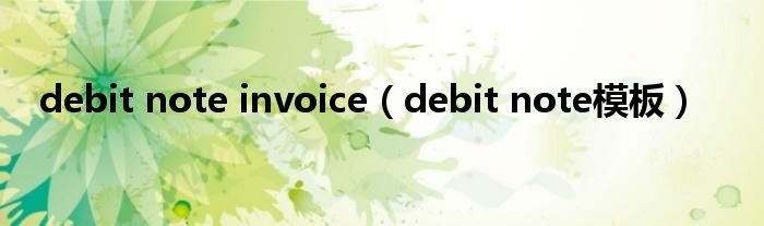 debit note invoice（debit note模板）