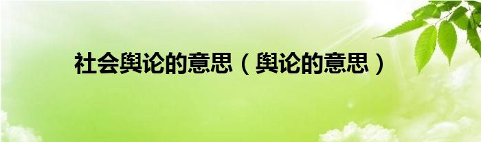 社会舆论的意思（舆论的意思）