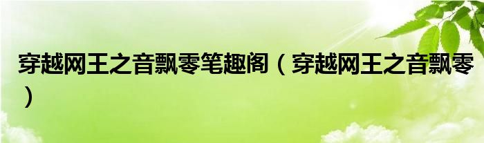 穿越网王之音飘零笔趣阁（穿越网王之音飘零）