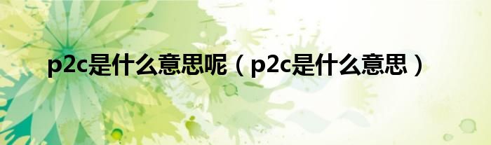 p2c是什么意思呢（p2c是什么意思）