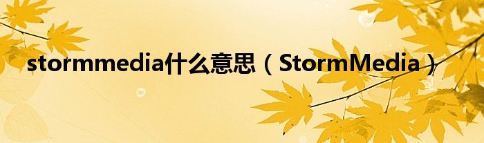 stormmedia什么意思（StormMedia）