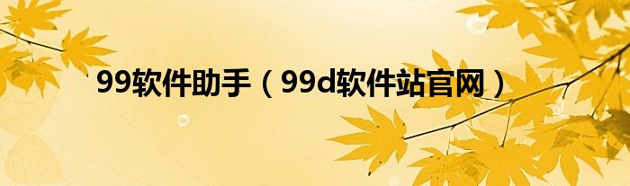 99软件助手（99d软件站官网）