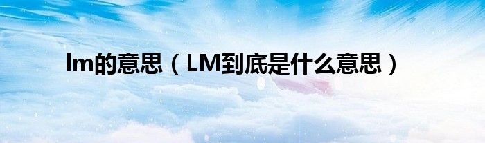 lm的意思（LM到底是什么意思）