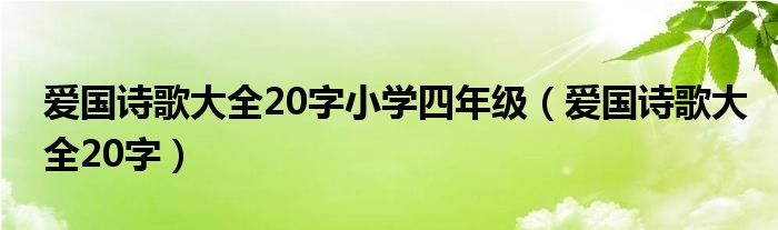 爱国诗歌大全20字小学四年级（爱国诗歌大全20字）