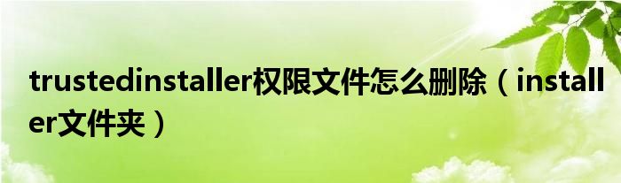 trustedinstaller权限文件怎么删除（installer文件夹）