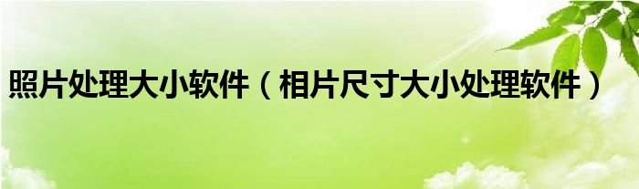 照片处理大小软件（相片尺寸大小处理软件）