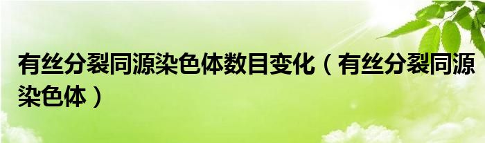 有丝分裂同源染色体数目变化（有丝分裂同源染色体）