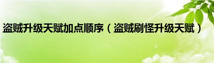 盗贼升级天赋加点顺序（盗贼刷怪升级天赋）