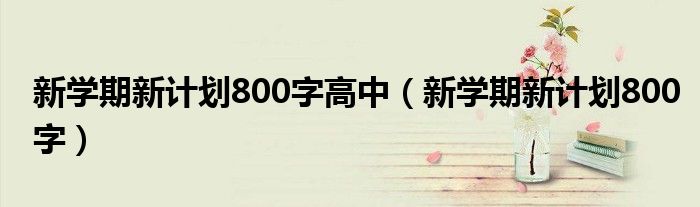 新学期新计划800字高中（新学期新计划800字）