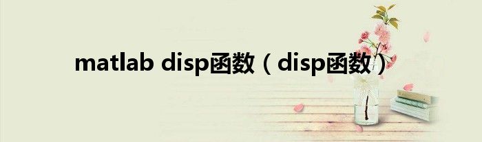 matlab disp函数（disp函数）