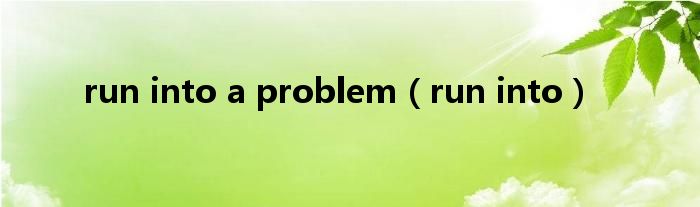 run into a problem（run into）