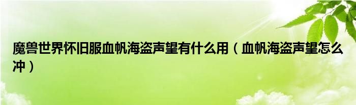 魔兽世界怀旧服血帆海盗声望有什么用（血帆海盗声望怎么冲）