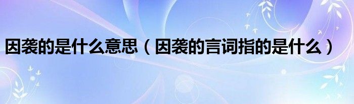 因袭的是什么意思（因袭的言词指的是什么）