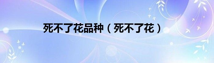 死不了花品种（死不了花）