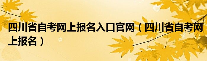 四川省自考网上报名入口官网（四川省自考网上报名）