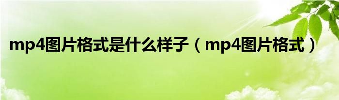 mp4图片格式是什么样子（mp4图片格式）