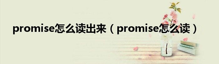 promise怎么读出来（promise怎么读）