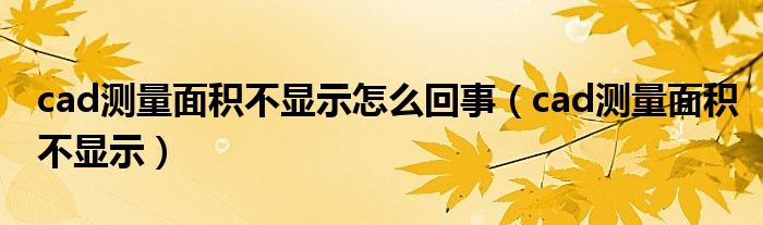 cad测量面积不显示怎么回事（cad测量面积不显示）