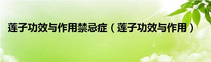 莲子功效与作用禁忌症（莲子功效与作用）