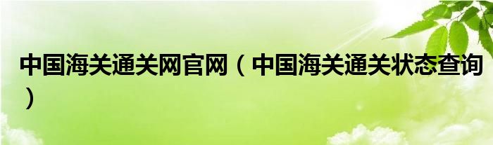 中国海关通关网官网（中国海关通关状态查询）