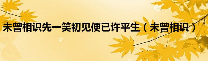 未曾相识先一笑初见便已许平生（未曾相识）