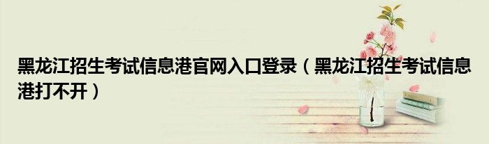 黑龙江招生考试信息港官网入口登录（黑龙江招生考试信息港打不开）