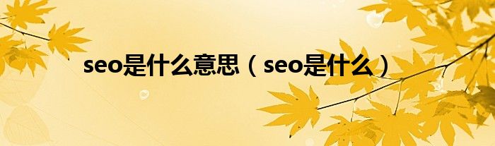 seo是什么意思（seo是什么）