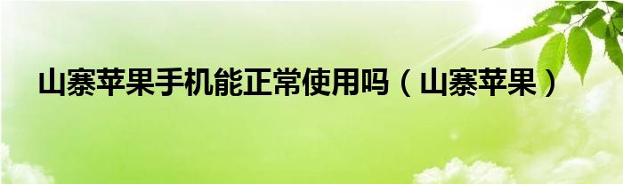 山寨苹果手机能正常使用吗（山寨苹果）