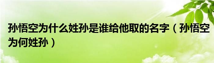 孙悟空为什么姓孙是谁给他取的名字（孙悟空为何姓孙）