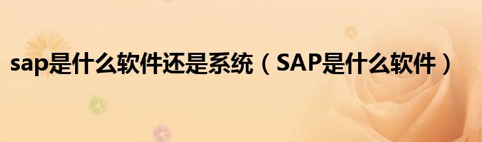 sap是什么软件还是系统（SAP是什么软件）