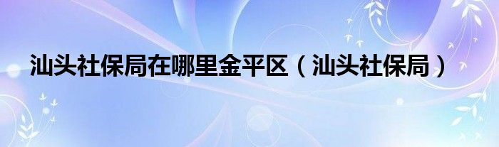 汕头社保局在哪里金平区（汕头社保局）