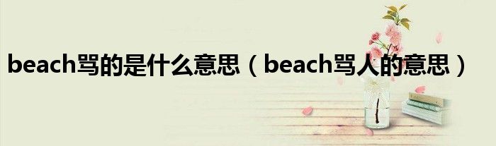 beach骂的是什么意思（beach骂人的意思）