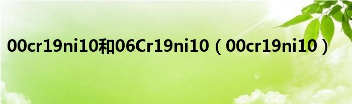 00cr19ni10和06Cr19ni10（00cr19ni10）