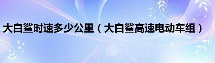 大白鲨时速多少公里（大白鲨高速电动车组）