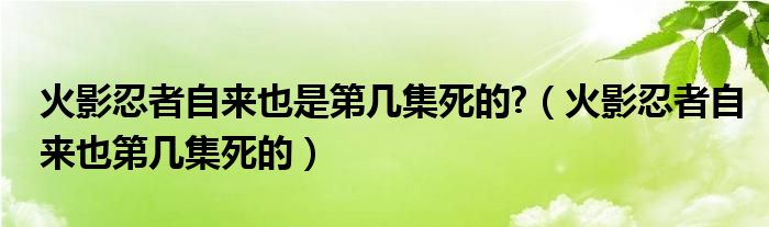 火影忍者自来也是第几集死的?（火影忍者自来也第几集死的）